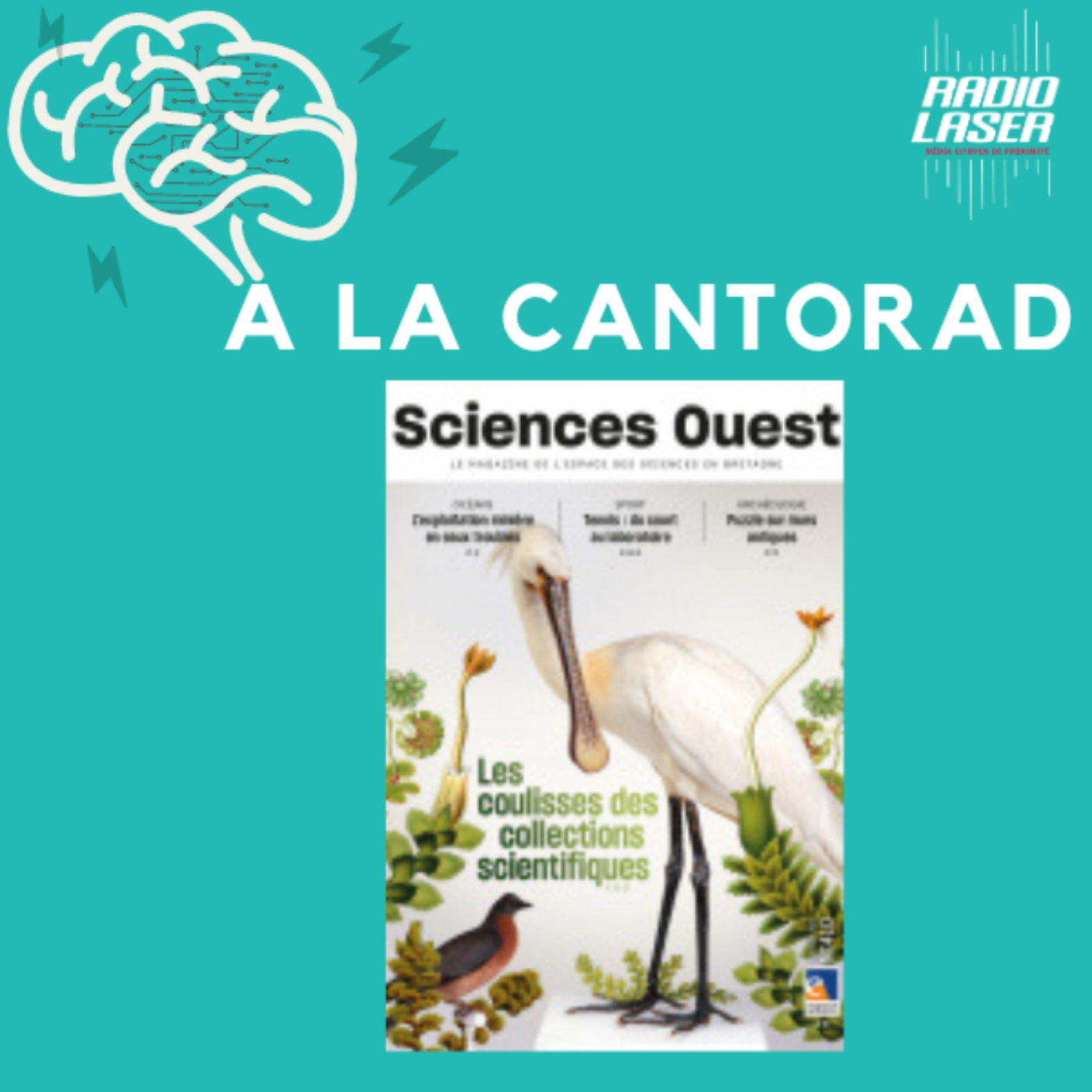 Sciences Ouest Juin-Août 2023: Coulisses des collections scientifiques; découverte de la toichographologie; analyse du mouvement d'une tenniswoman; rire et bien-être; risques de l'exploitation des fonds marins... episode artwork