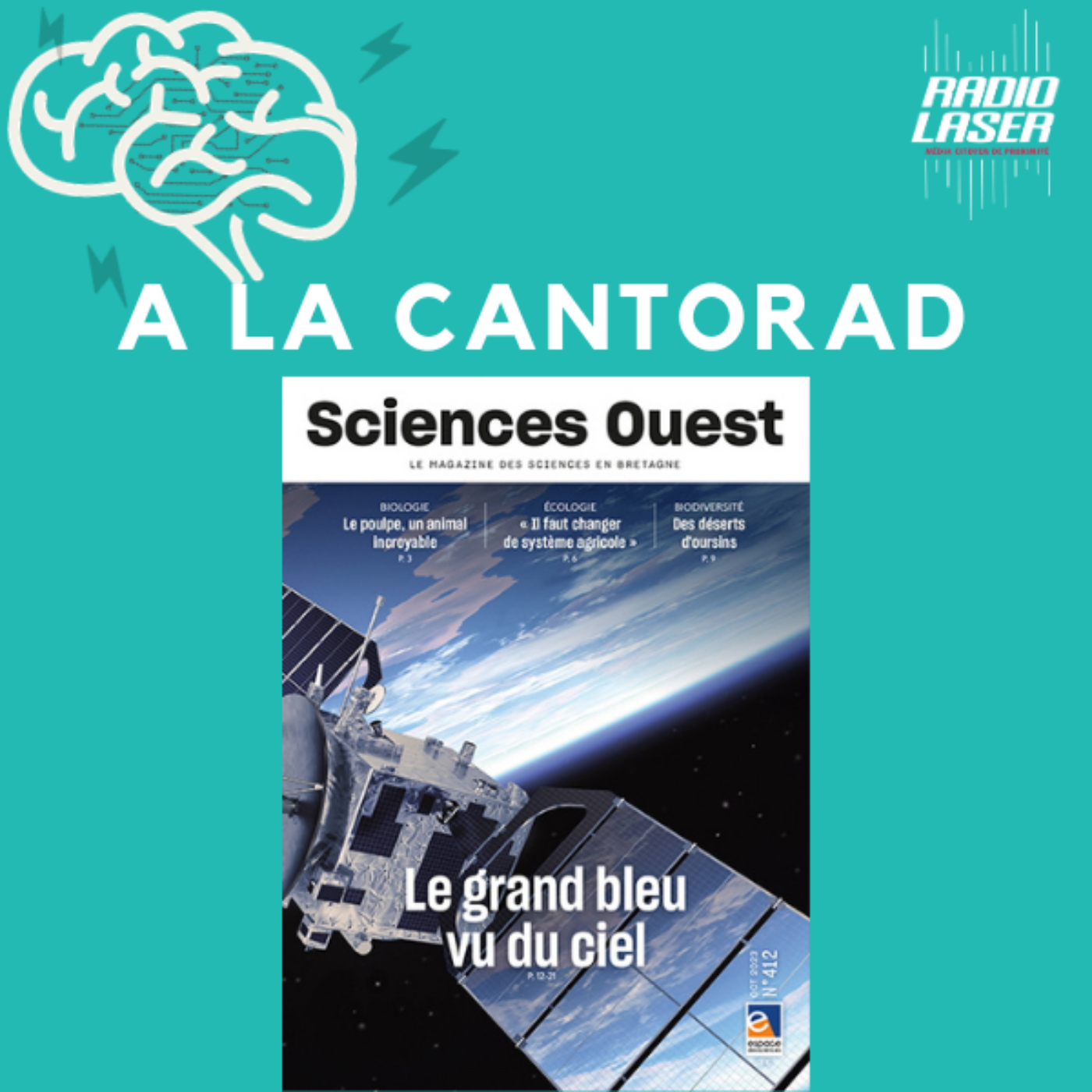 Sciences ouest Octobre 2023: Le Grand Bleu vu du ciel; Prolifération des oursins et conséquences; Le poulpe, animal incroyable; La Fête de la Science... episode artwork