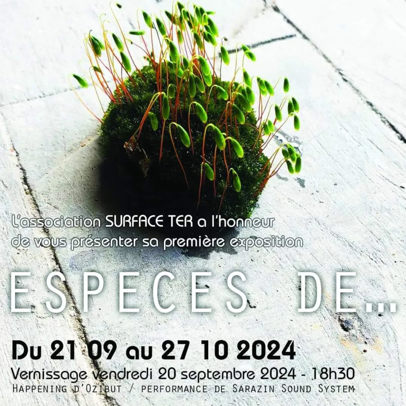 Parcours d'une plasticienne qui s'implique dans son territoire episode artwork