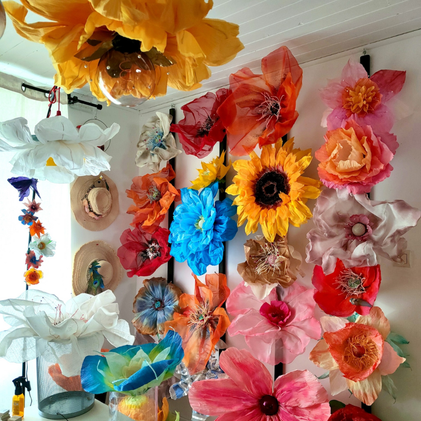 Mélodie Poétique : des fleurs pour tous episode artwork