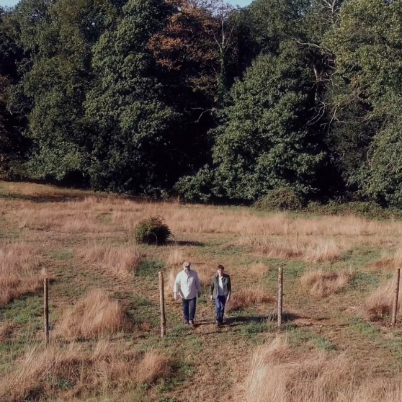 Danaterre, en quête de sens episode artwork